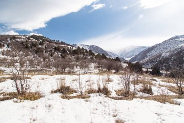Tien Shan dağlarında kışın doğa. Kazakistan