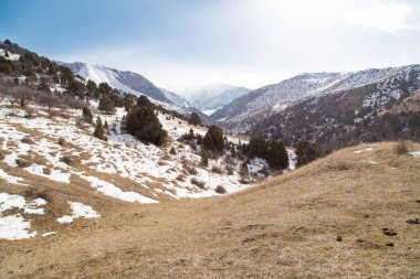 Tien Shan dağlarında kışın doğa. Kazakistan