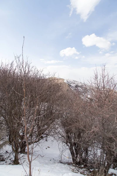 Natur im Tien Shan Gebirge im Winter. Kasachstan — Stockfoto