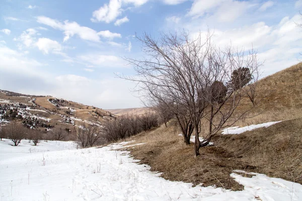 Nature dans les montagnes du Tien Shan en hiver. Kazakhstan — Photo