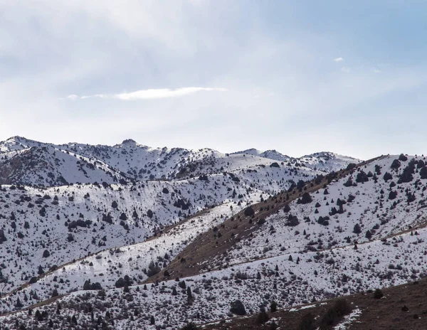 Natureza nas montanhas Tien Shan no inverno. Cazaquistão — Fotografia de Stock