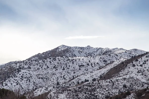 Tien Shan dağlarında kışın doğa. Kazakistan