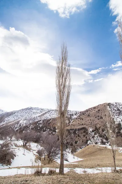 Naturen i Tien Shan bergen på vintern. Kazakstan — Stockfoto