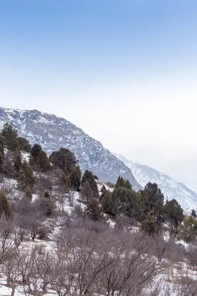 Natura nelle montagne Tien Shan in inverno. Kazakistan — Foto Stock
