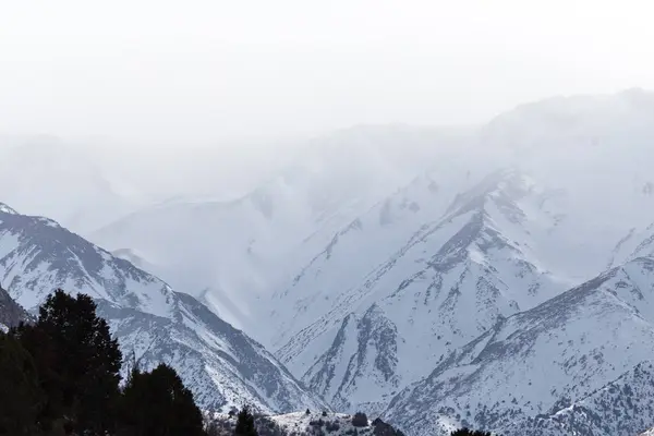 Natuur in de Tien Shan bergen in de winter. Kazachstan — Stockfoto