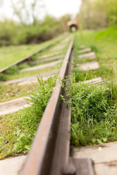 Старая железная дорога в траве — стоковое фото