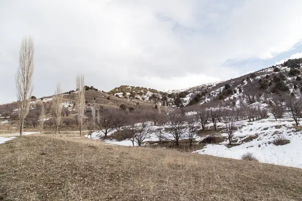 Naturaleza en las montañas de Tien Shan en invierno. Kazajstán —  Fotos de Stock