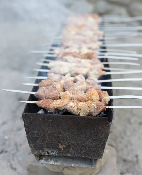 Grilled skewers on the grill — Stock Photo, Image