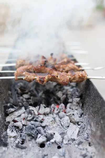 Grilled skewers on the grill — Stock Photo, Image