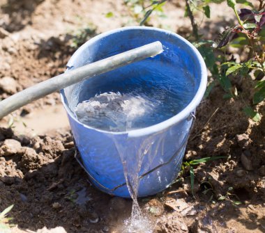 doğada bir parkta hortum su