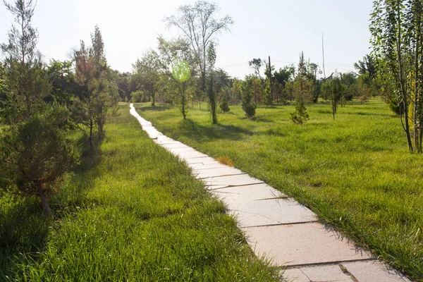 Trilha em um parque na natureza — Fotografia de Stock