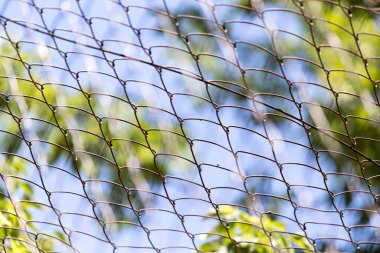 Paslı metal ızgara çit makro ve doğa arka planı .