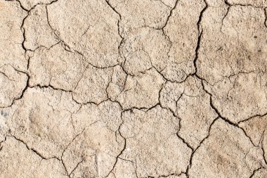 Arka plan olarak dünyayı çatlatmış. Doku. Soyut bir dokunun fotoğrafı