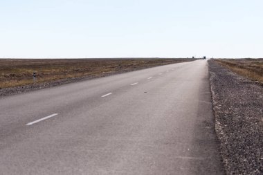 Doğadaki asfalt yol. Doğadaki parkta.