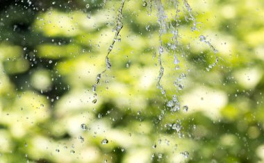 Su yeşil doğaya sıçrar. Doğadaki parkta.