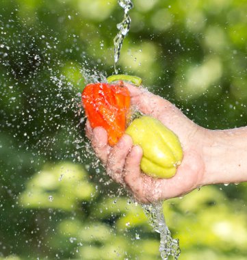 Paprika elinde su doğasında. Doğadaki parkta.
