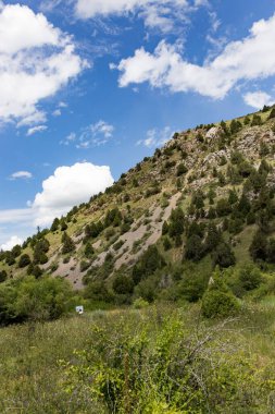 Kazakistan 'ın dağlarında doğa. Doğadaki parkta.