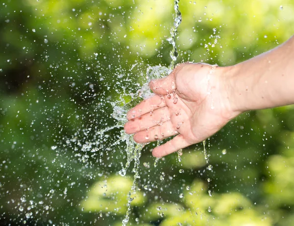 自然界の水の中に手を 自然公園で — ストック写真