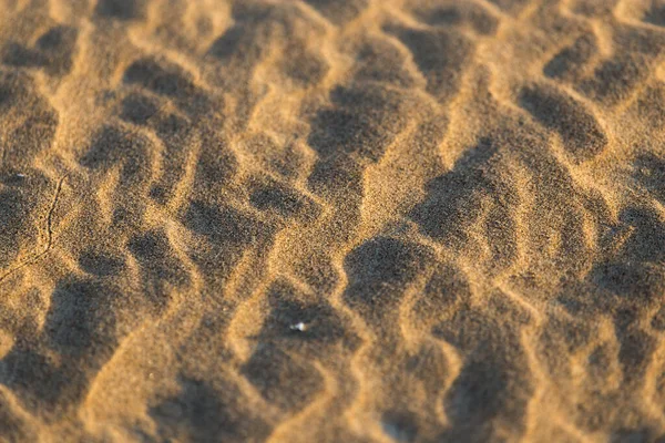 모래를 배경으로 말이죠 그대로의 공원에서 — 스톡 사진