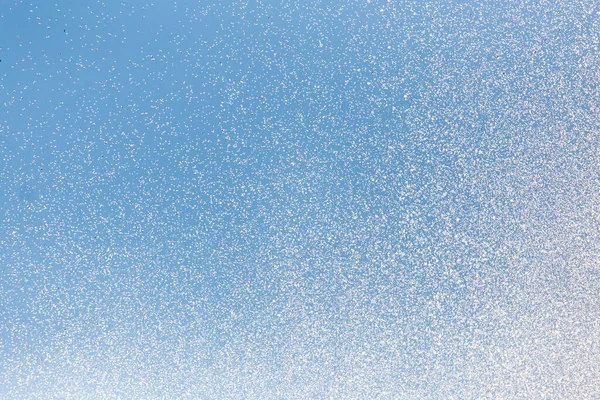 Agua Salpicando Fuente Fondo Del Cielo Azul —  Fotos de Stock