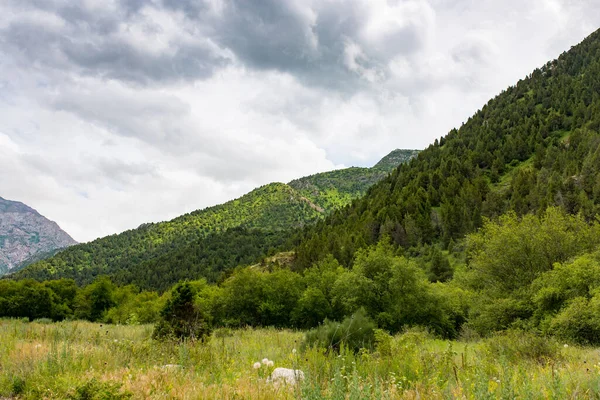 Naturaleza Las Montañas Kazajstán Parque Naturaleza — Foto de Stock