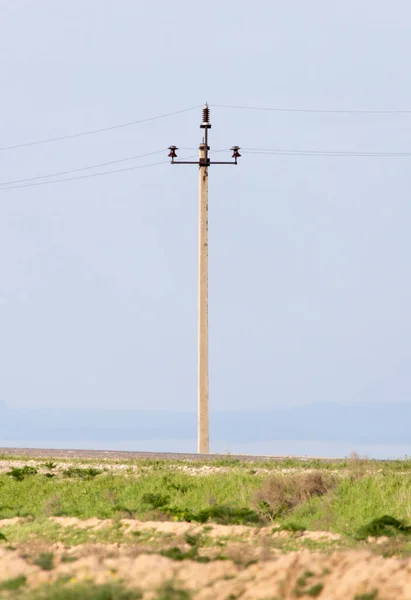 砂漠の電柱だ 自然公園で — ストック写真