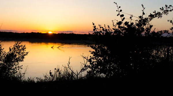 Silhouette Arbre Sur Rivière Sur Fond Coucher Soleil — Photo