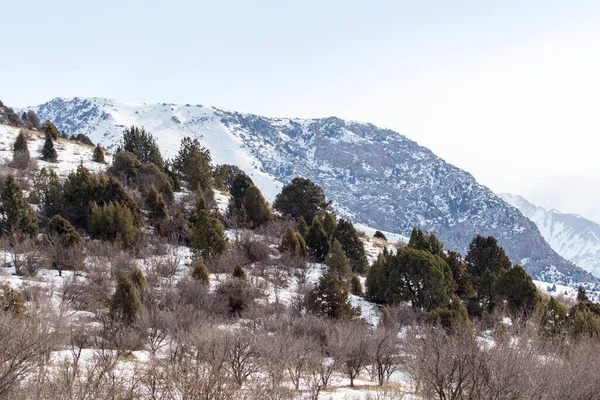 Naturaleza Las Montañas Tien Shan Invierno Kazajstán — Foto de Stock