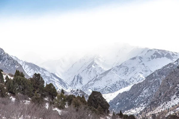 Naturaleza Las Montañas Tien Shan Invierno Kazajstán —  Fotos de Stock