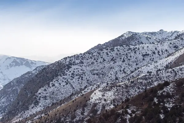 Tien Shan Dağlarında Kışın Doğa Kazakistan — Stok fotoğraf