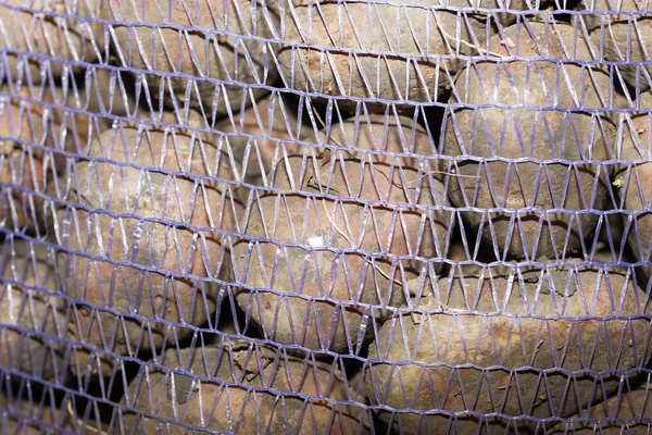 Patate Sfondo Nel Sacchetto Nel Parco Nella Natura — Foto Stock