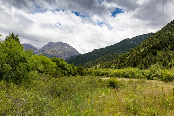 Naturaleza Las Montañas Kazajstán Parque Naturaleza — Foto de Stock