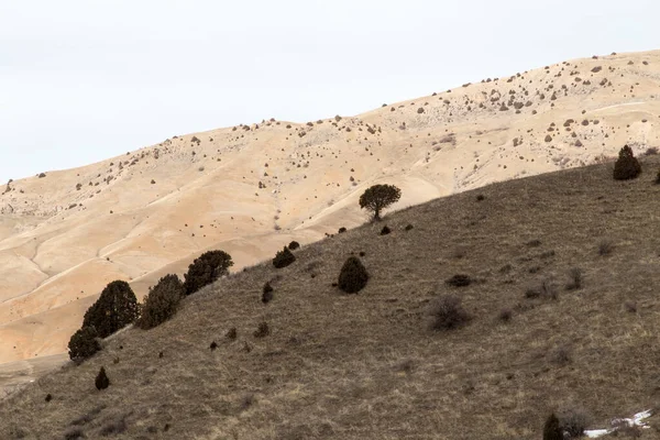 Hügeliger Berg Der Wüste Kasachstan — Stockfoto