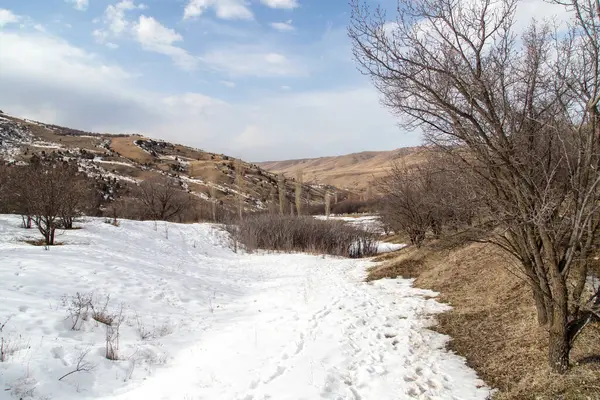 Tien Shan Dağlarında Kışın Doğa Kazakistan — Stok fotoğraf