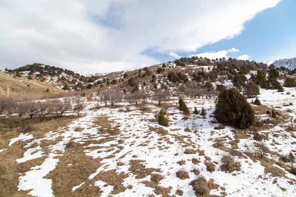 Nature Tien Shan Mountains Winter Kazakhstan — Stock Photo, Image