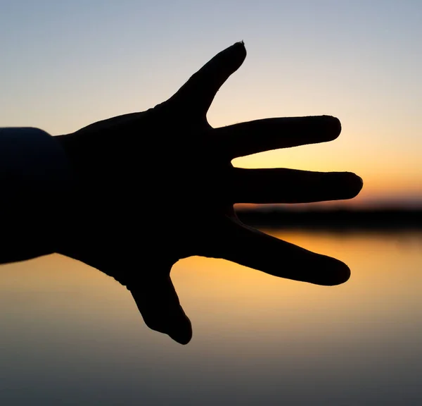 Silhueta Mão Sobre Fundo Pôr Sol — Fotografia de Stock