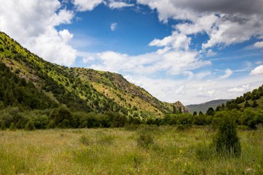 Kazakistan 'ın dağlarında doğa. Doğadaki parkta.