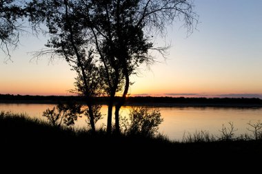 Günbatımı arka planında, nehirdeki ağaç silueti. .