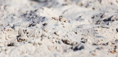 Arkaplan olarak beyaz kum taşları. Doğadaki parkta.