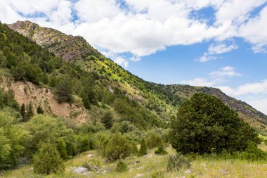 Kazakistan 'ın dağlarında doğa. Doğadaki parkta.