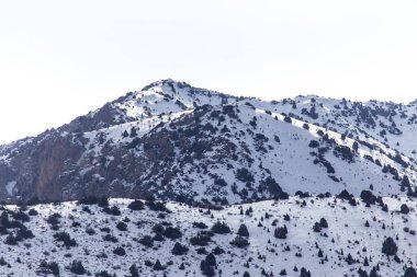 Tien Shan dağlarında kışın doğa. Kazakistan .