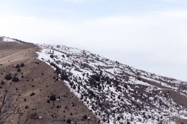 Tien Shan dağlarında kışın doğa. Kazakistan .