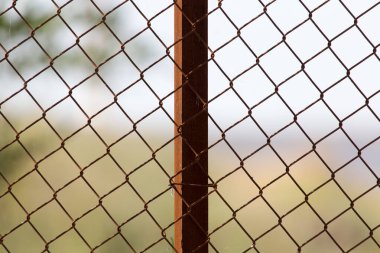 Metal örgü arka plan olarak doğada .