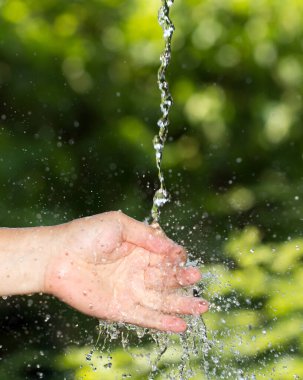 Doğada suyu teslim etmek. Doğadaki parkta.