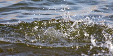 Suyun yüzeyine püskürt. .