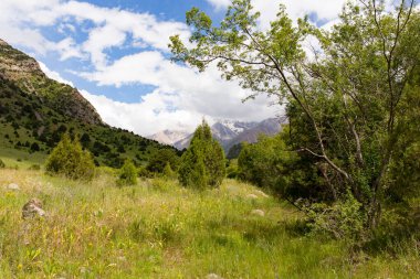 Kazakistan 'ın dağlarında doğa. Doğadaki parkta.
