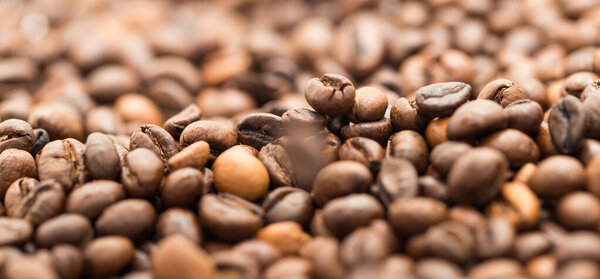 coffee beans as a background . Photos in the studio
