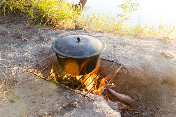 Kittel Brinner Vid Solnedgången Parken Naturen — Stockfoto