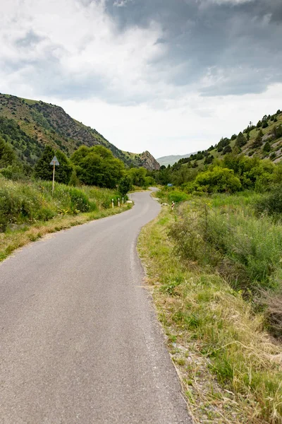 Strada Asfaltata Natura Nel Parco Nella Natura — Foto Stock