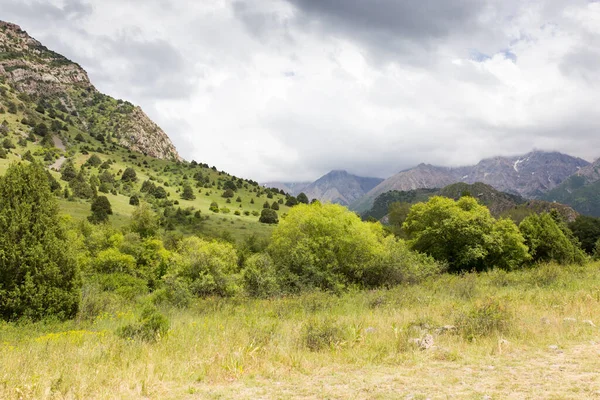 Natur Den Bergen Kasachstans Park Der Natur — Stockfoto